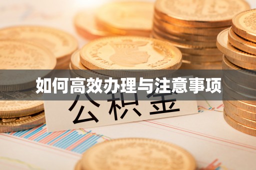 麻涌如何高效办理与注意事项